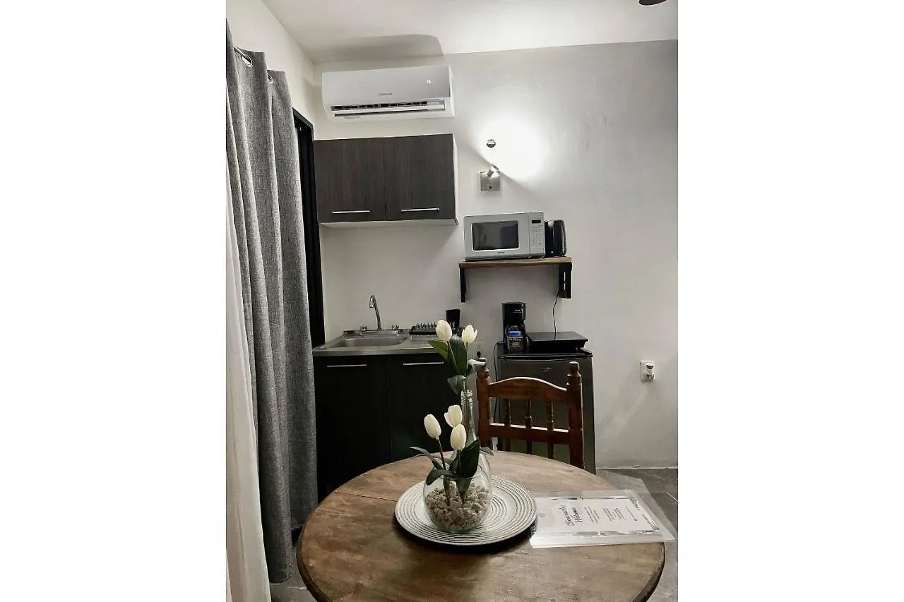Casa Villamatisse Tulum Appartement