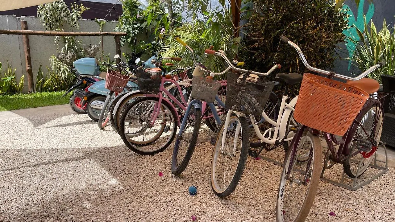 Apartamento Casa Villamatisse Tulum México