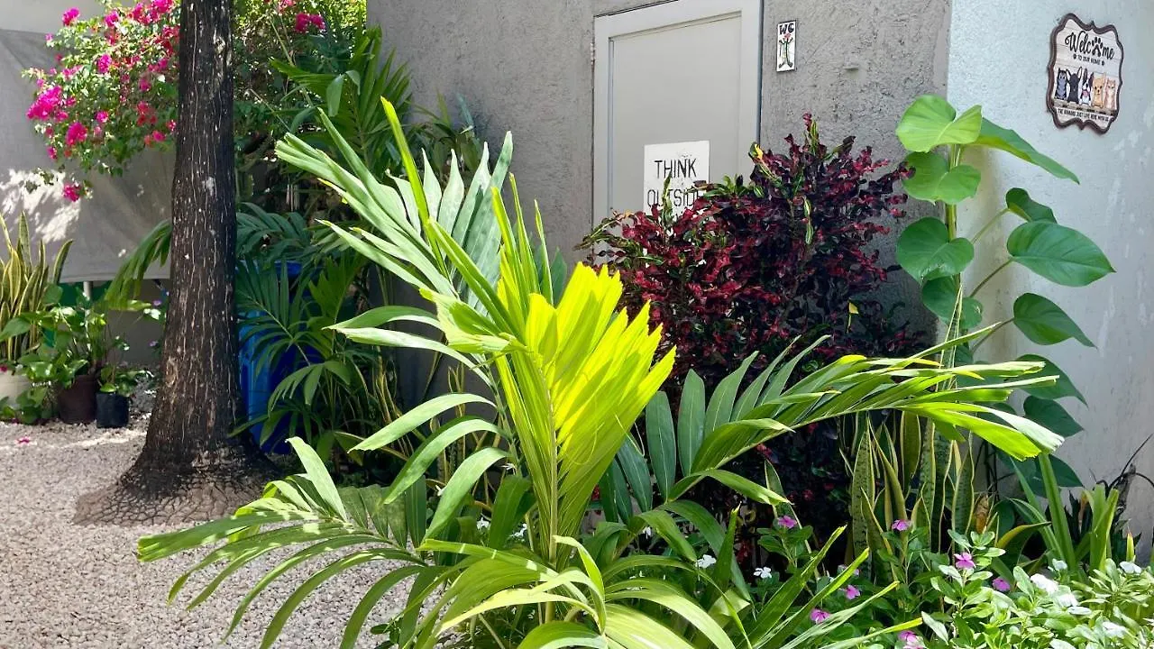 Apartment Casa Villamatisse Tulum Mexico